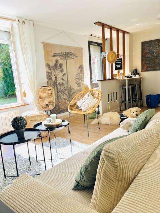 Le Cottage Breton, Hypercentre Historique Stb Saint-Brieuc Kültér fotó